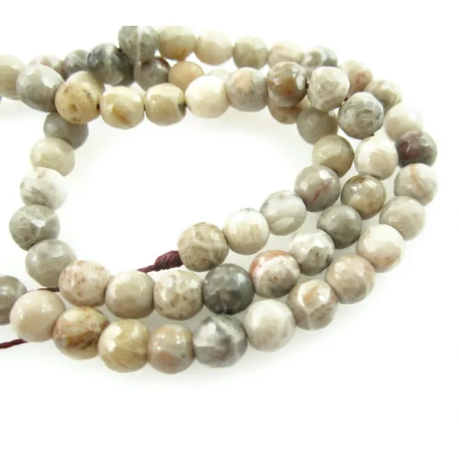 1 filo di Diaspro fossile naturale sfaccettato di 6 mm lungo 39/40 cm