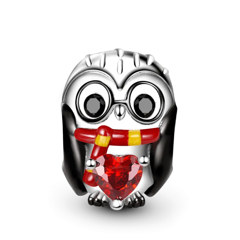 Gnoce Gufo Saggio Abbraccia la Pietra Cuore