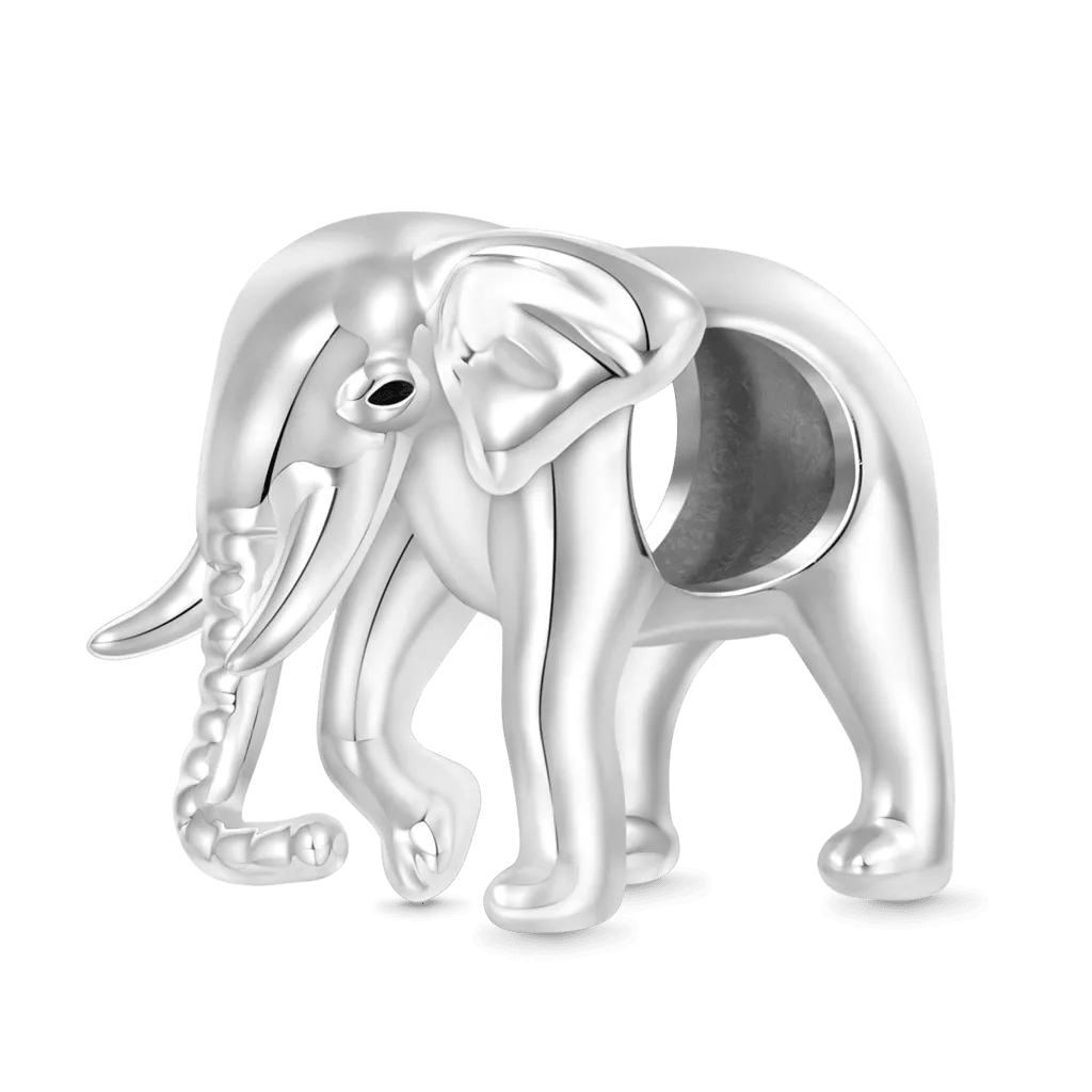 Gnoce Charm Elefante Animali Sudafricani