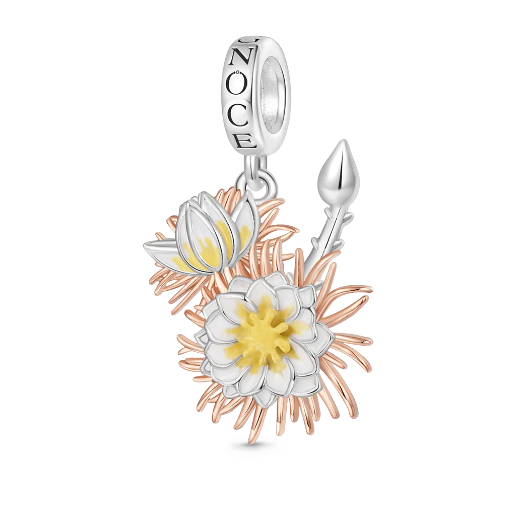 Gnoce Ciondolo Tempio Di Flora Fiore Cereus Che Soffia Di Notte