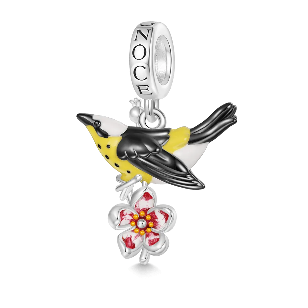 Gnoce Ciondolo Oriolus Chinensis nero Uccelli d'America