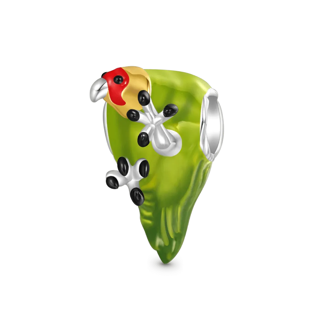 Gnoce Charm Pappagallo Carolina Uccelli d'America