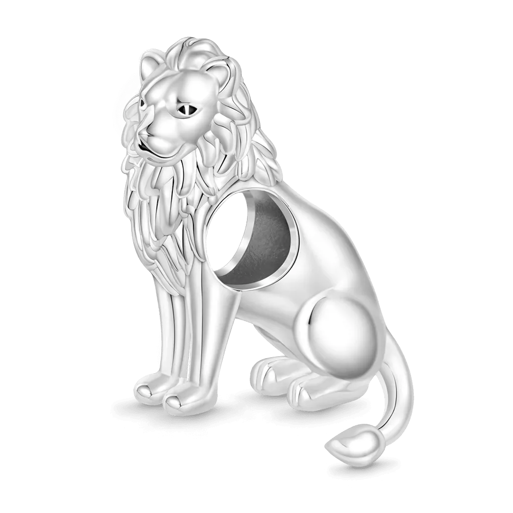 Gnoce Charm Leone Sudafrica Animale