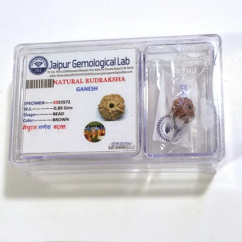 Ganesh Rudraksha naturale - 0,89 gr