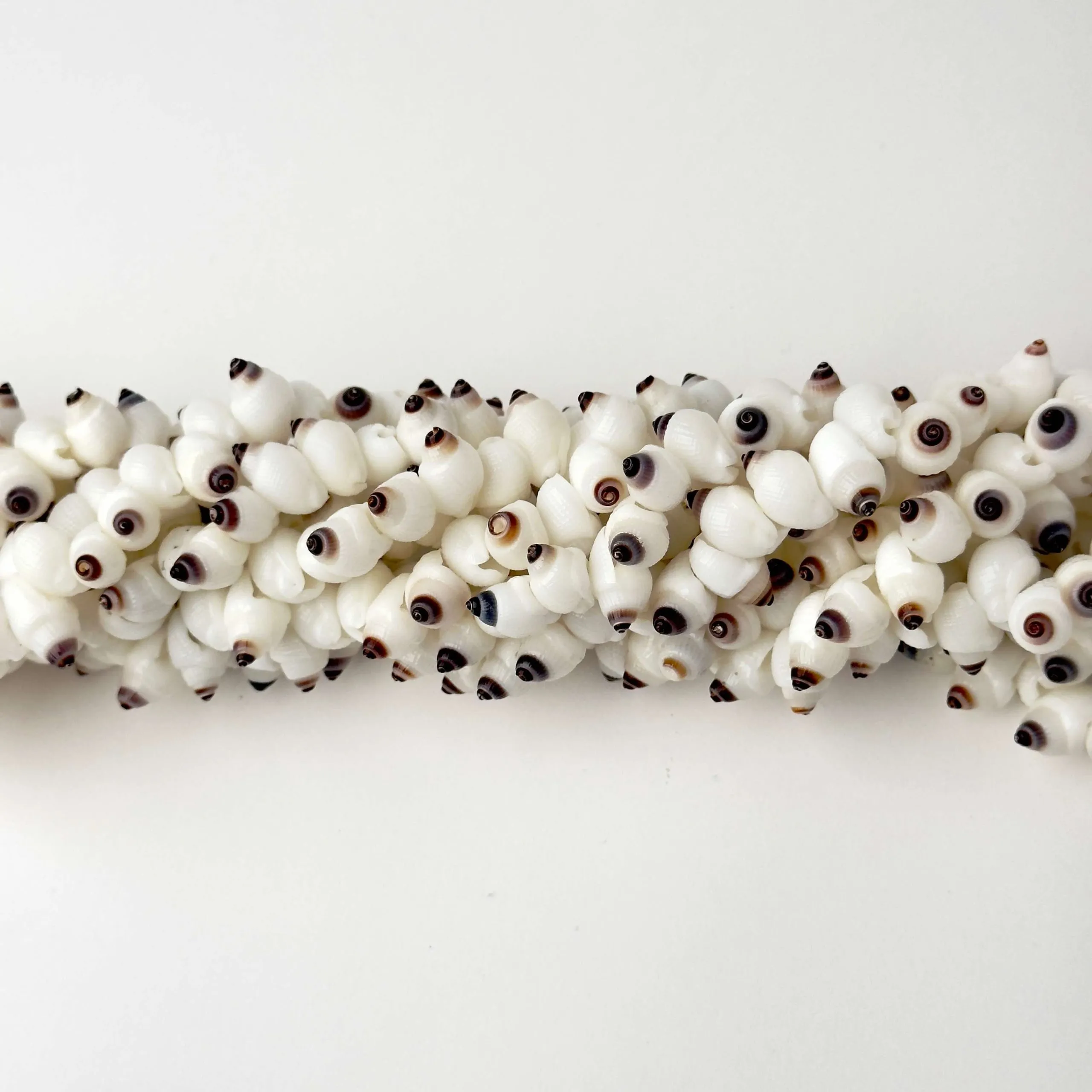 Filo di Conchiglia Naturale per Bigiotteria 10 x 8 mm