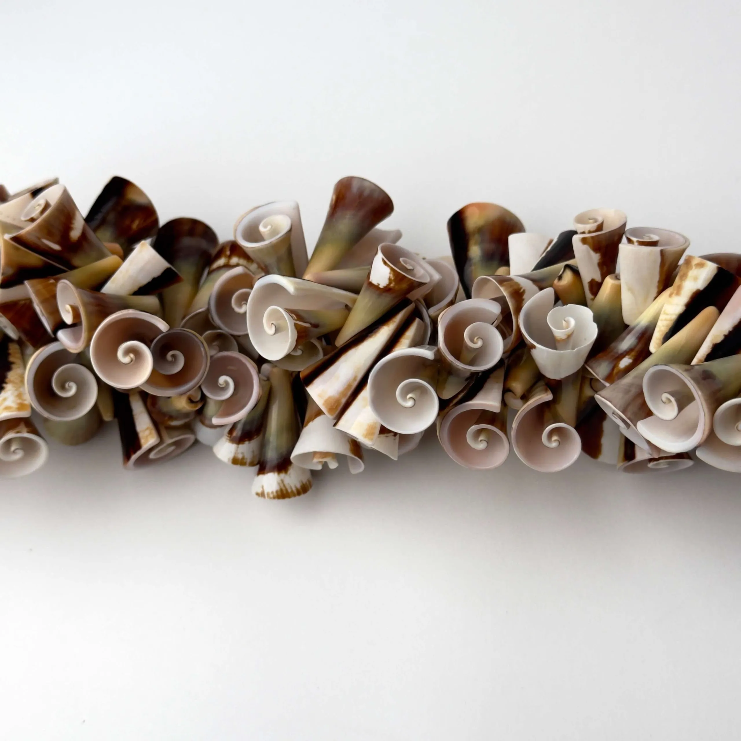 Filo di Conchiglia Naturale per Bigiotteria 20 x 12 mm