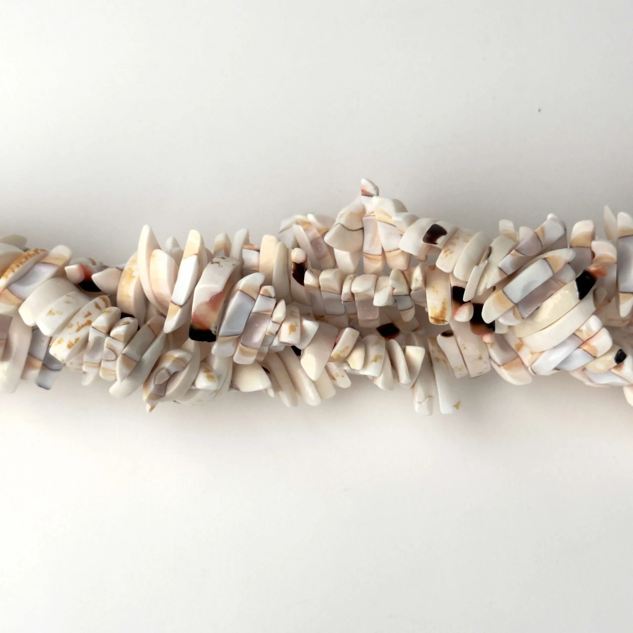 Filo di Conchiglia Naturale per Bigiotteria 21 x 5 mm