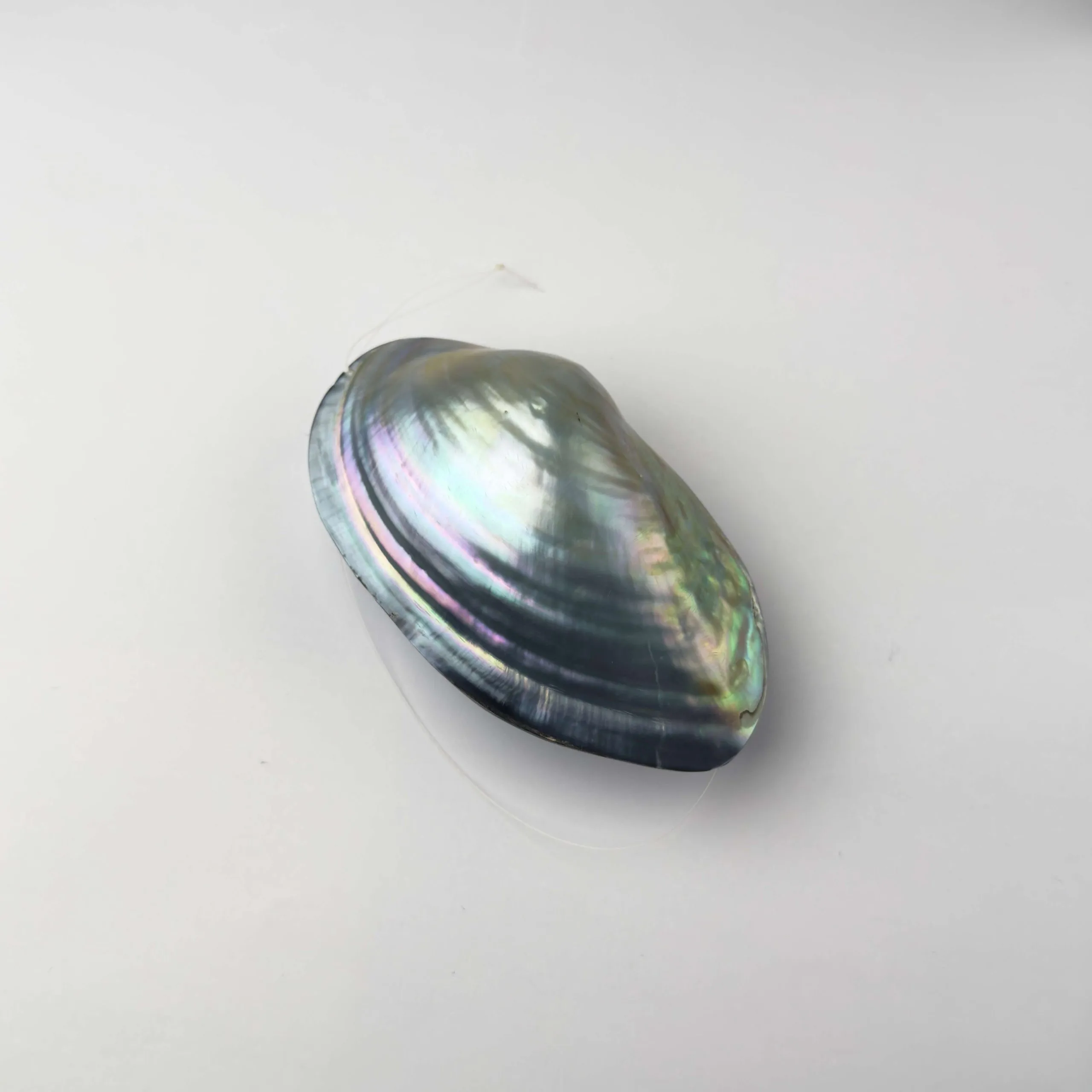 Conchiglia di Madreperla Kabebe Grigio Perla - 10 x 7 cm