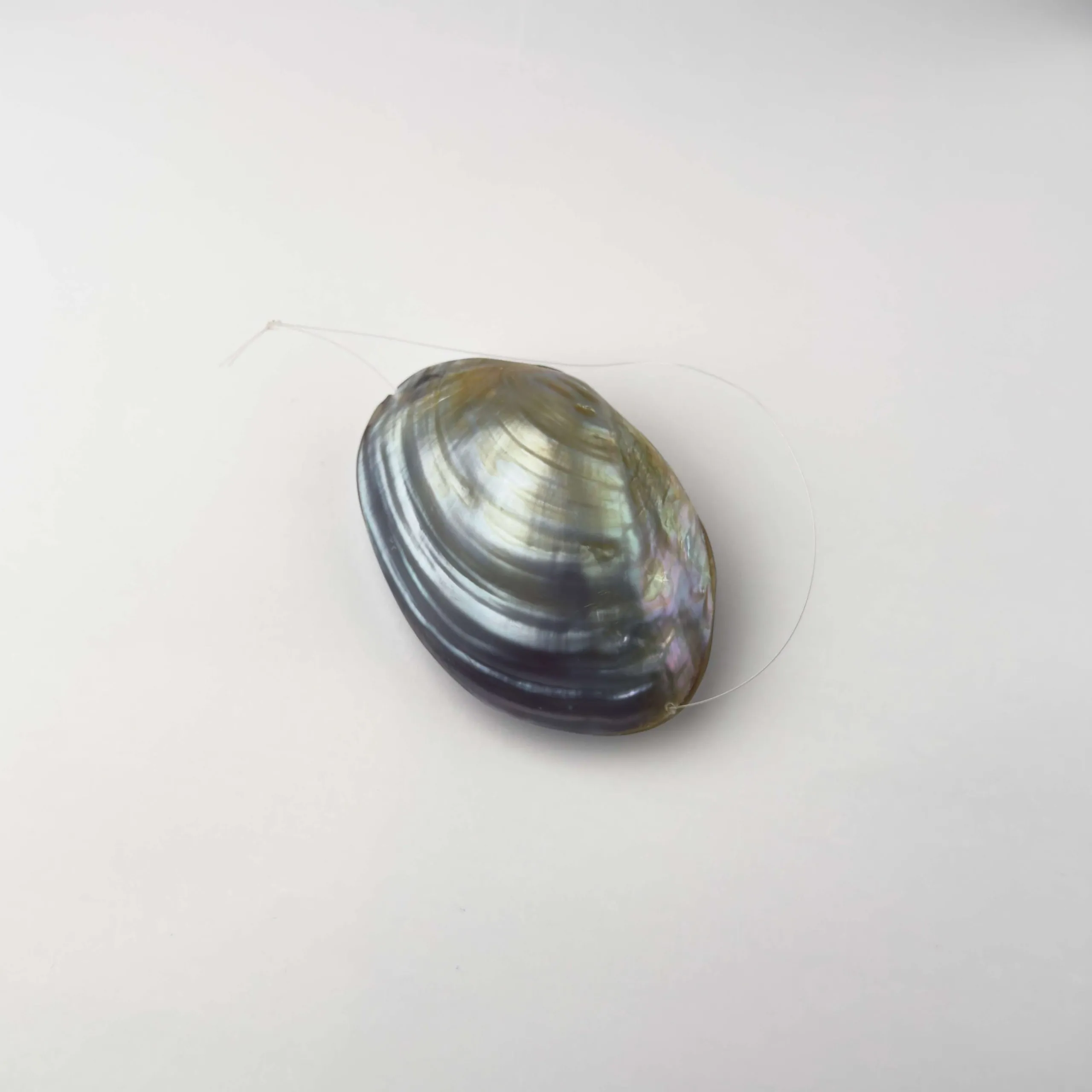 Conchiglia di Madreperla Kabebe Porpora - 8 x 5 cm