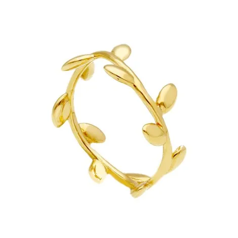 Anello di Laurea Oro Giallo 18kt Fedina Alloro