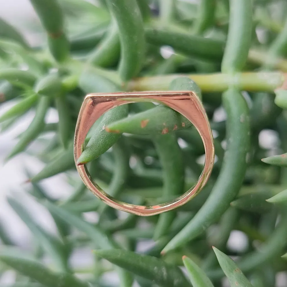 Handcrafted Brass Band Ring - DHAPEADA