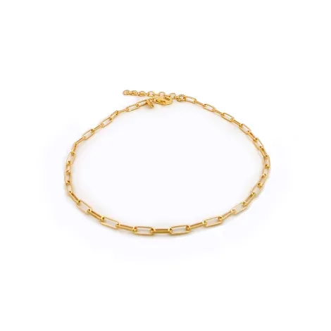 Cavigliera Forzatina Argento Dorato