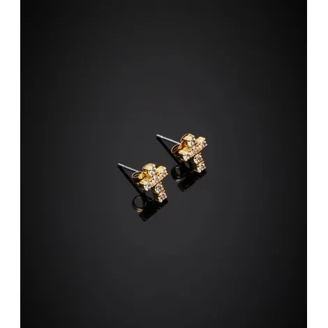Orecchini A Lobo Chiara Ferragni Cross Bold J19AWC13