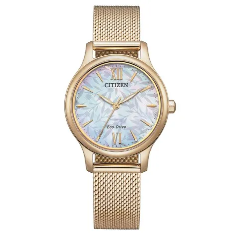 Orologio Citizen Collezione Lady Acciaio EM0892-80D