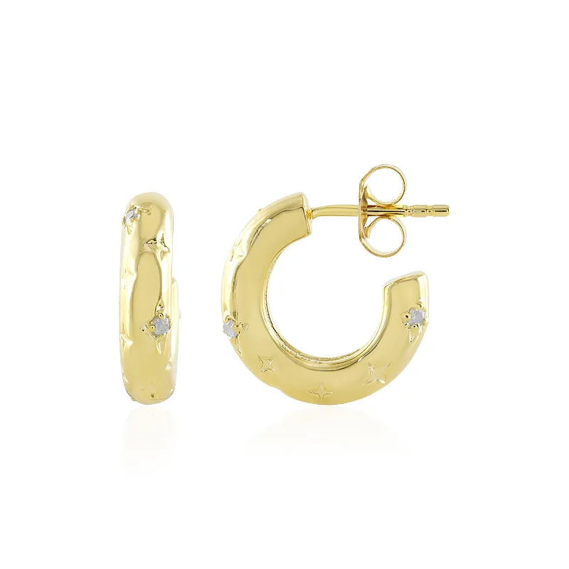 Orecchini in argento con Diamante I3 (H)