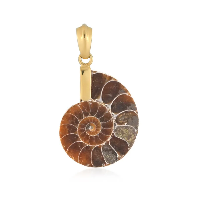 Ciondolo in argento con Ammonite